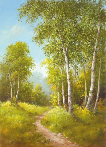 SUNDAY AFTERNOON I White Modern Wood Framed Art Print with Double Matting by Smith, B.