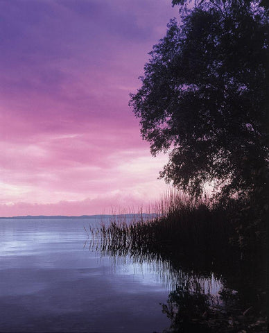 IDYLLIC LAKE III Black Ornate Wood Framed Art Print with Double Matting by Weissing, Gerd