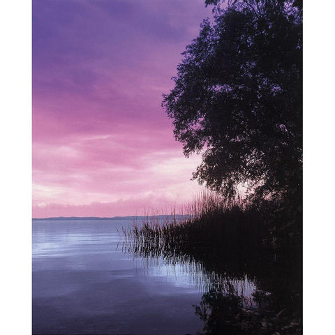 IDYLLIC LAKE III Black Modern Wood Framed Art Print by Weissing, Gerd
