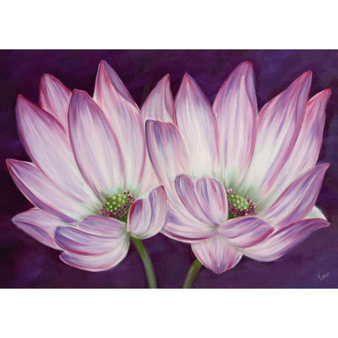 Purple Lotus White Modern Wood Framed Art Print by Lake, Kaye