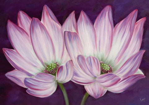 Purple Lotus White Modern Wood Framed Art Print with Double Matting by Lake, Kaye
