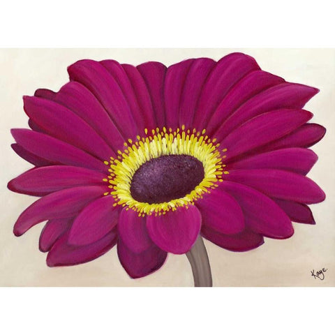 Raspberry Delight I Black Modern Wood Framed Art Print by Lake, Kaye