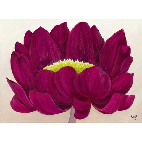 Raspberry Delight II Black Modern Wood Framed Art Print by Lake, Kaye