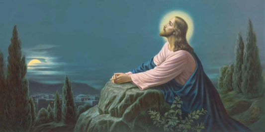 Image Only