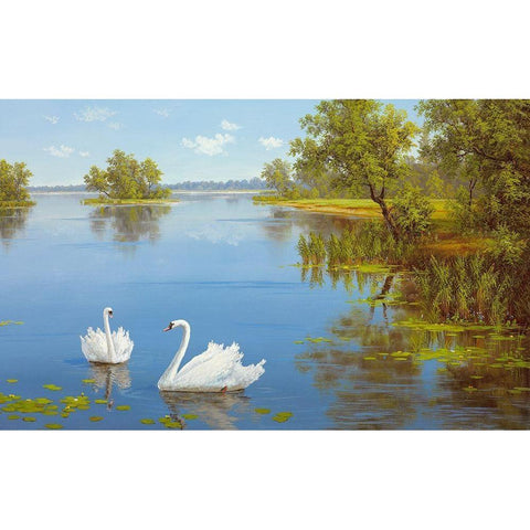 SWANS ON THE LAKE Gold Ornate Wood Framed Art Print with Double Matting by Slava