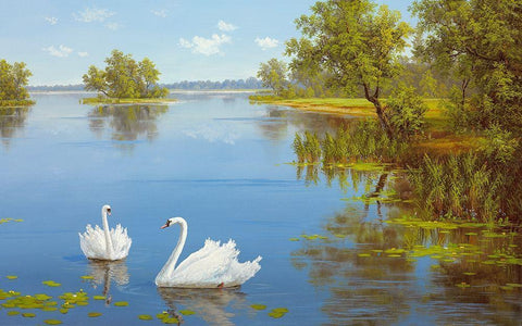 SWANS ON THE LAKE White Modern Wood Framed Art Print with Double Matting by Slava
