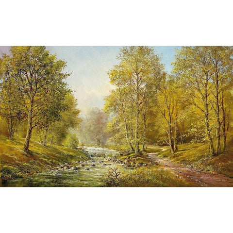 SOFT MORNING LIGHT Black Modern Wood Framed Art Print by Glassl, Helmut