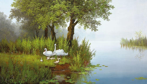 SWANS AT THE POND I Black Ornate Wood Framed Art Print with Double Matting by Slava