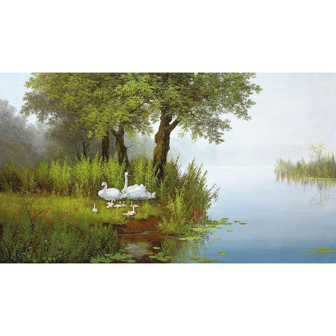 SWANS AT THE POND I Black Modern Wood Framed Art Print by Slava