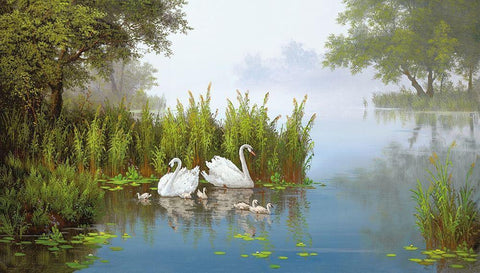 SWANS AT THE POND II White Modern Wood Framed Art Print with Double Matting by Slava