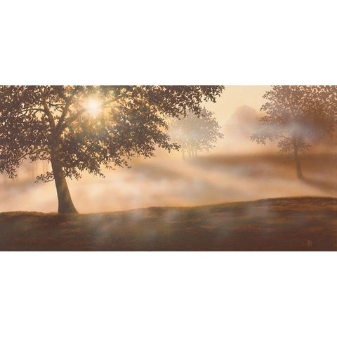 RURAL STUDY I Black Modern Wood Framed Art Print by Walsh, Peter