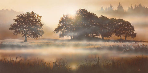 RURAL STUDY II White Modern Wood Framed Art Print with Double Matting by Walsh, Peter