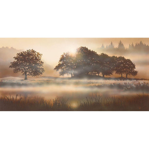 RURAL STUDY II Black Modern Wood Framed Art Print by Walsh, Peter