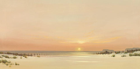 DISTANT SHORES I White Modern Wood Framed Art Print with Double Matting by Lee, Spencer