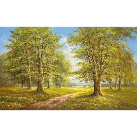 ROMANTIC LANE I Black Modern Wood Framed Art Print with Double Matting by Glassl, Helmut