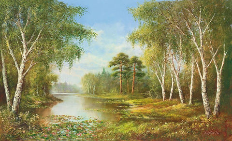 SECLUDED POND White Modern Wood Framed Art Print with Double Matting by Glassl, Helmut