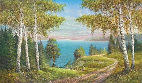 BIRCHES AT THE LAKE I White Modern Wood Framed Art Print with Double Matting by Glassl, Helmut