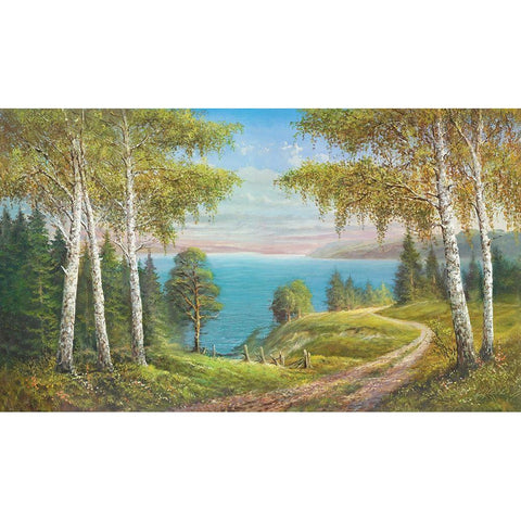 BIRCHES AT THE LAKE I Black Modern Wood Framed Art Print with Double Matting by Glassl, Helmut