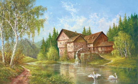 Mill With Swans Black Ornate Wood Framed Art Print with Double Matting by Glassl, Helmut