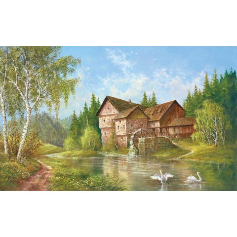 Mill With Swans Black Modern Wood Framed Art Print by Glassl, Helmut