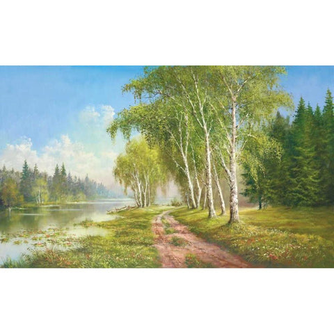 Path At The Lake Black Modern Wood Framed Art Print with Double Matting by Glassl, Helmut