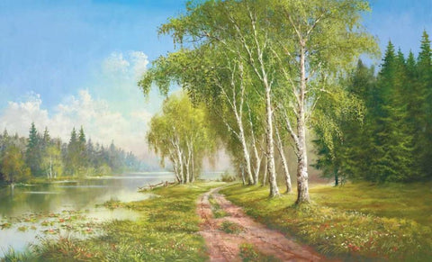 Path At The Lake White Modern Wood Framed Art Print with Double Matting by Glassl, Helmut
