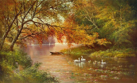 Swan Family In Autumn White Modern Wood Framed Art Print with Double Matting by Glassl, Helmut