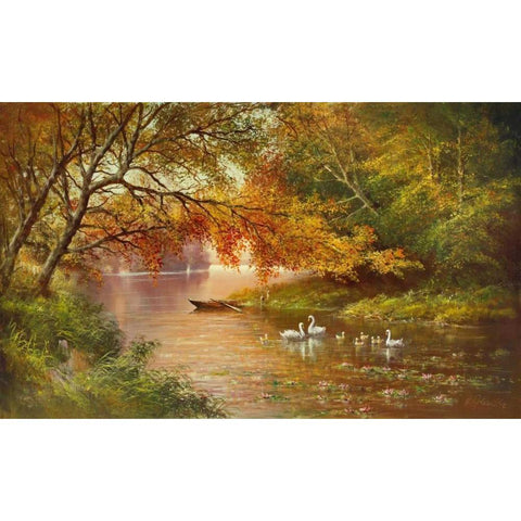 Swan Family In Autumn Black Modern Wood Framed Art Print with Double Matting by Glassl, Helmut