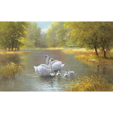 SWAN FAMILY Black Modern Wood Framed Art Print with Double Matting by Weber, Max