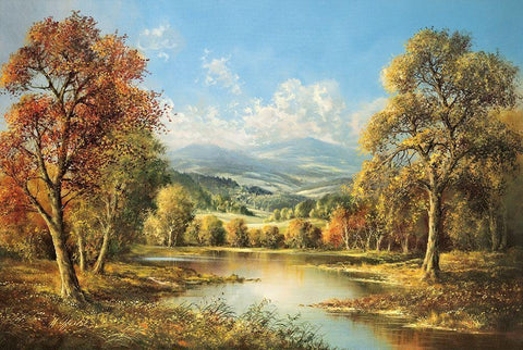 POND IN BOHEMIA White Modern Wood Framed Art Print with Double Matting by Glassl, Helmut