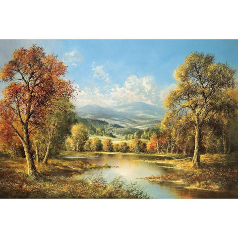 POND IN BOHEMIA Black Modern Wood Framed Art Print by Glassl, Helmut