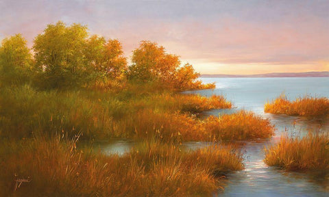 MISTY LAKE II White Modern Wood Framed Art Print with Double Matting by Fasani