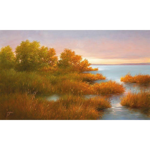 MISTY LAKE II Black Modern Wood Framed Art Print with Double Matting by Fasani