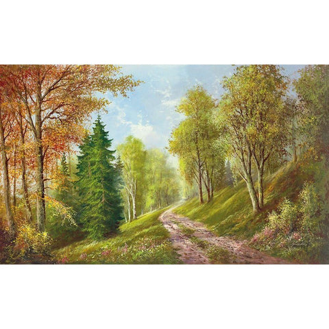 MOUNTAIN PATH White Modern Wood Framed Art Print by Glassl, Helmut