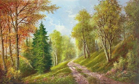 MOUNTAIN PATH White Modern Wood Framed Art Print with Double Matting by Glassl, Helmut
