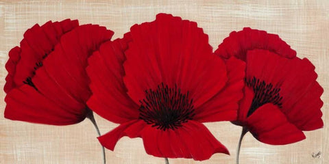 Linen Poppies I White Modern Wood Framed Art Print with Double Matting by Lake, Kaye
