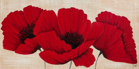 Linen Poppies II White Modern Wood Framed Art Print with Double Matting by Lake, Kaye