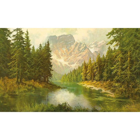 LAKE PRAGSER Black Modern Wood Framed Art Print with Double Matting by Bochmann, Joh.