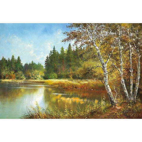 SECRET POND Black Modern Wood Framed Art Print with Double Matting by Glassl, Helmut