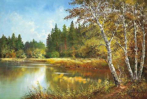 SECRET POND Black Ornate Wood Framed Art Print with Double Matting by Glassl, Helmut