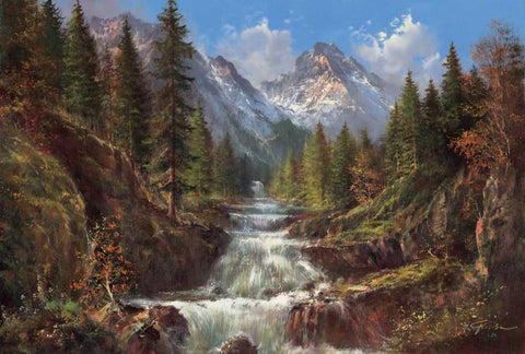 Waterfall In The Carpathians Black Ornate Wood Framed Art Print with Double Matting by Glassl, Helmut