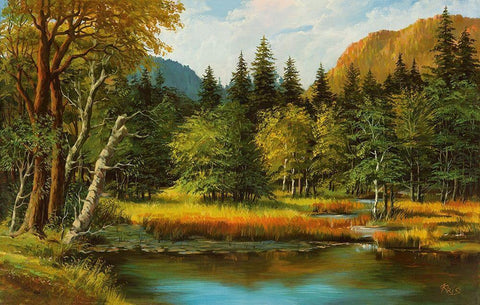 LAKE IN THE WOOD White Modern Wood Framed Art Print with Double Matting by Ada-Kris