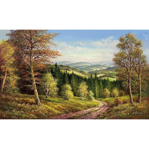 AUGUST SHADOWS Gold Ornate Wood Framed Art Print with Double Matting by Glassl, Helmut