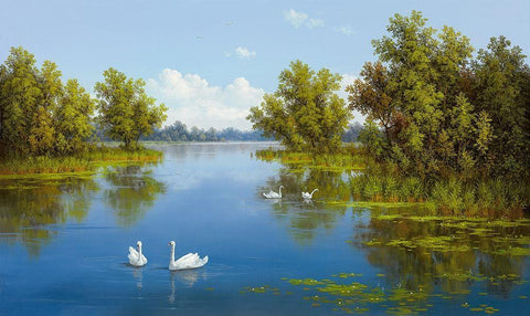 RIVER WITH SWANS I White Modern Wood Framed Art Print with Double Matting by Slava