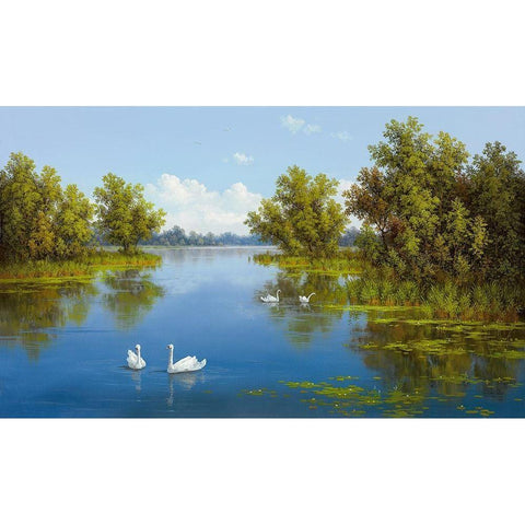 RIVER WITH SWANS I Black Modern Wood Framed Art Print with Double Matting by Slava