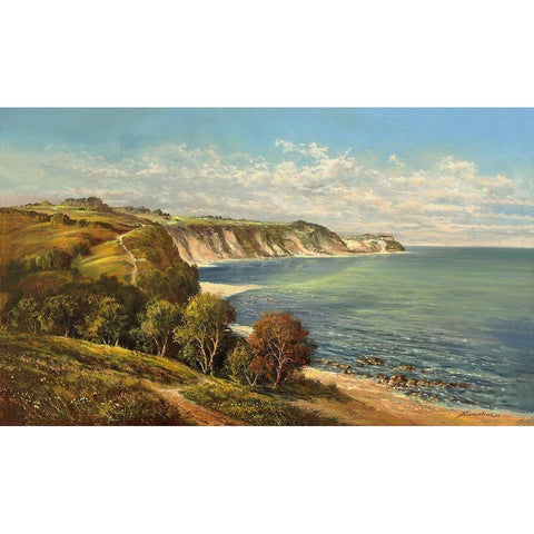 BALTIC SEA COAST I Black Modern Wood Framed Art Print by Buchner, H.
