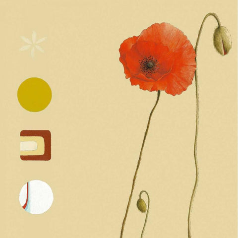 Poppy Black Modern Wood Framed Art Print by Gore, Ally-Reader, Robert