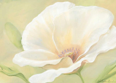 White flower I White Modern Wood Framed Art Print with Double Matting by Boucher, Nathalie