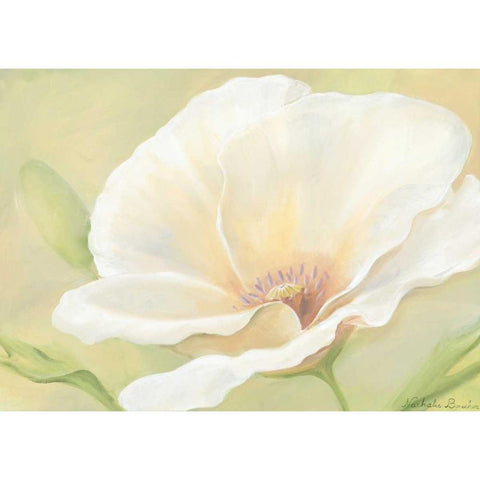 White flower I Black Modern Wood Framed Art Print by Boucher, Nathalie
