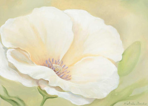 White flower II Black Ornate Wood Framed Art Print with Double Matting by Boucher, Nathalie
